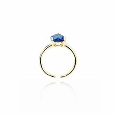 PAULA RING | Vintage Havana Accessories