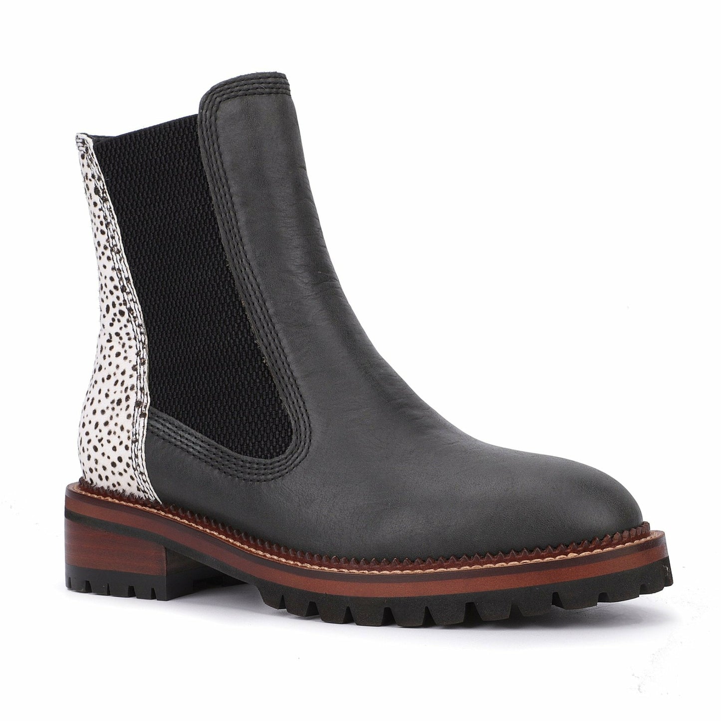 Fairview - Black Wild Cheetah | Vintage Havana Women