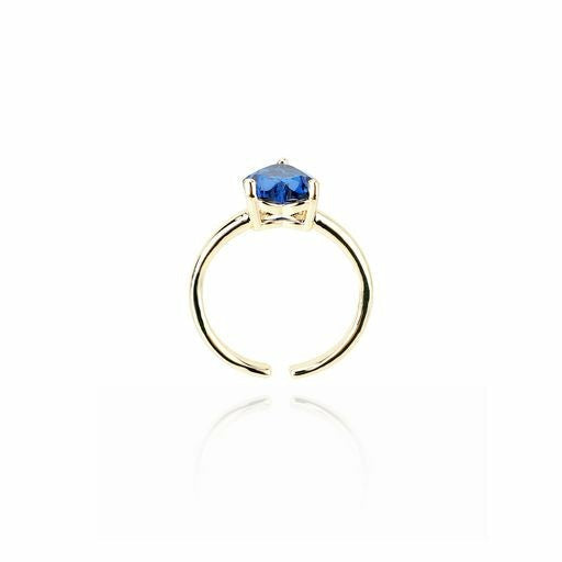 PAULA RING | Vintage Havana Accessories